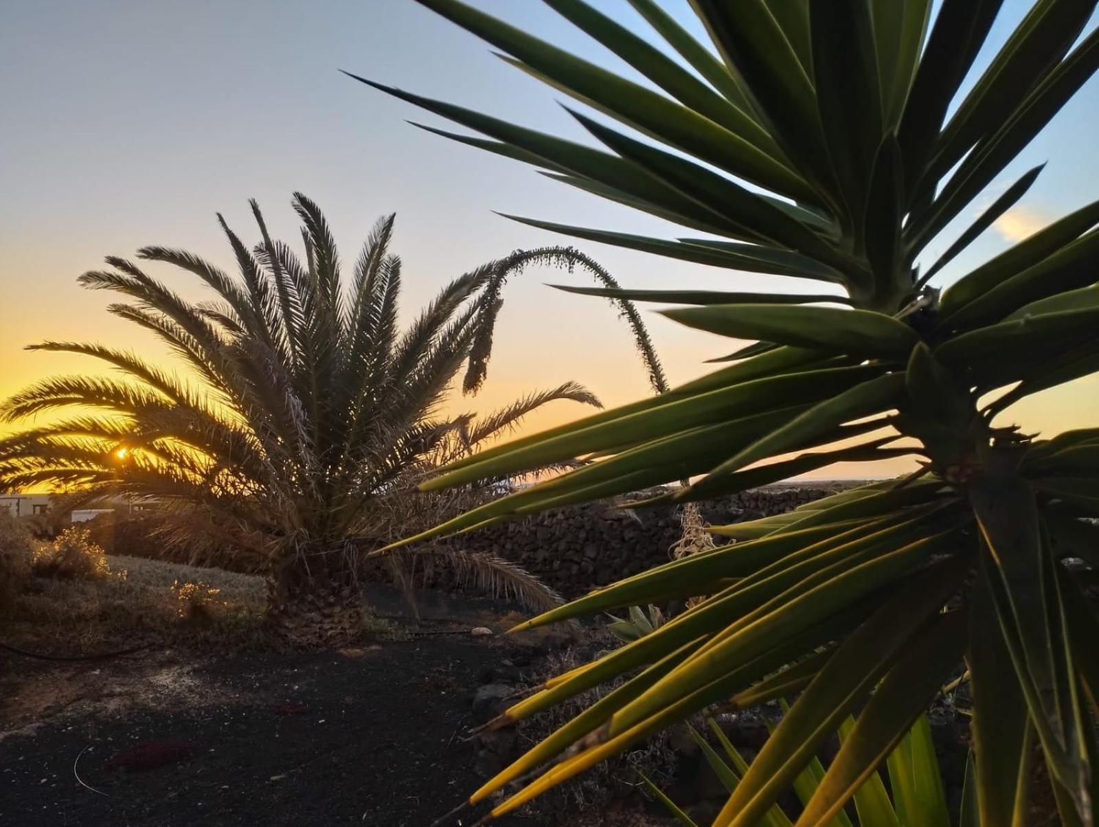 Casa Ina In El Roque, El Cotillo Eksteriør billede