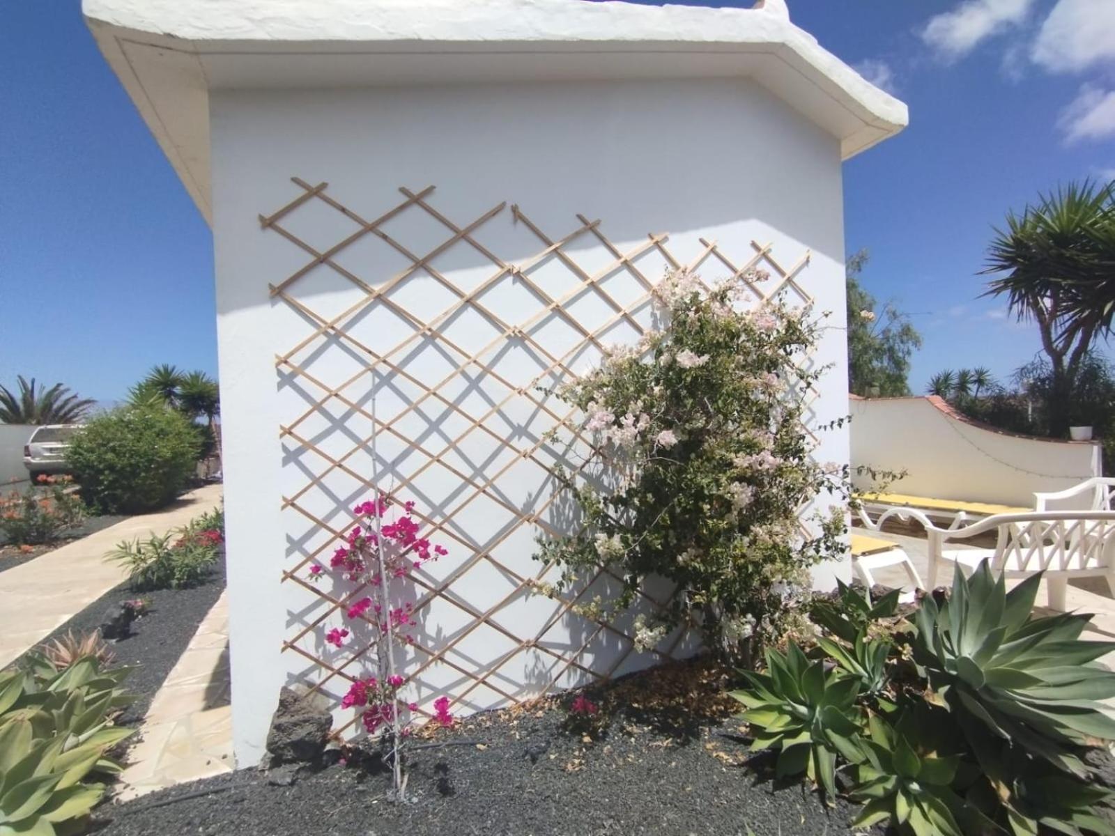 Casa Ina In El Roque, El Cotillo Eksteriør billede